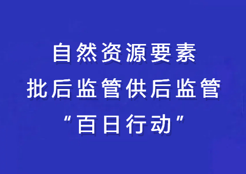 海南省启动天然资源身分批后监管供后监管“百日行动”