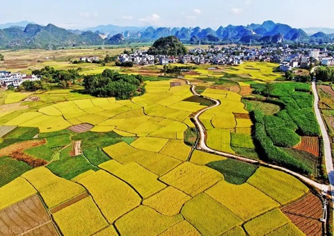 强化“指挥棒”作用&nbsp;&nbsp;金昌市发放500万元耕地；ぁ凹だ彀