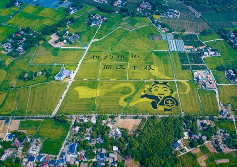 成都颁布耕地；す婊〗10年这样筑牢“天府粮仓”根基