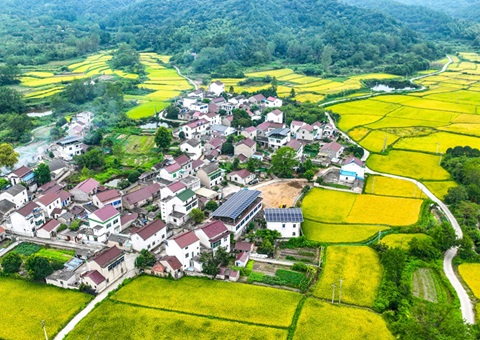 安徽省天然资源厅：130个乡镇耕地；こ删屯蛊 获赔偿激励1.3亿元