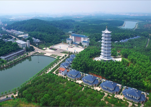 湖北：用好“一张图” ，智治有支持